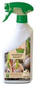 Knoblauch-Extrakt